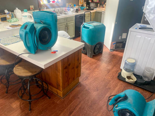  El Paso, TX Water damage restoration Pros