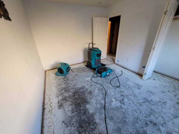 Best Water damage restoration cost  in El Paso, TX