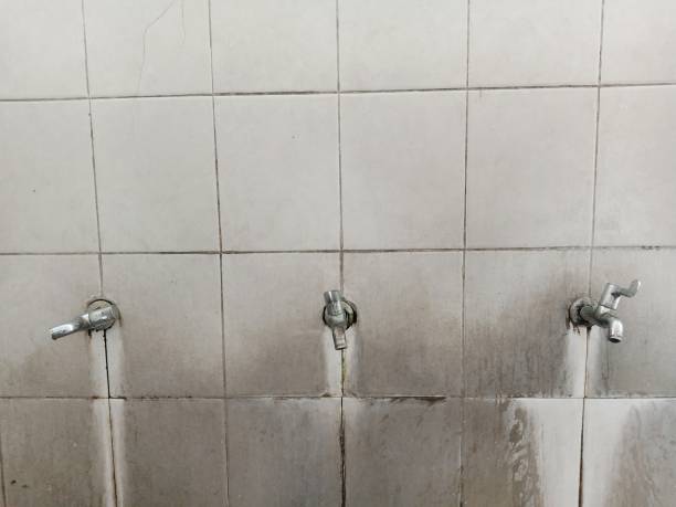 Best 24-hour water damage restoration  in El Paso, TX