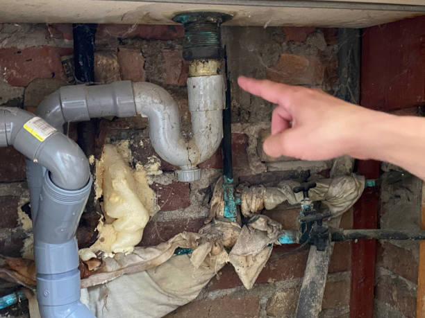 Best Carpet water damage restoration  in El Paso, TX
